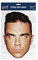 Robbie Williams Official Celebrity Face Mask