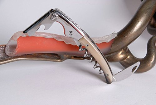 Sommelier Laguiole Claude Dozorme, Horn claire