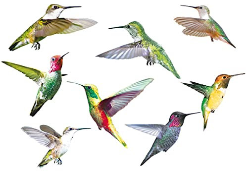 Fenstersticker Vögel,9 Stück Großes Kolibri-Fenster Klammert Sich An Doppelseitigen Druck,Kolibri Fenster Aufkleber Kolibri Fenster Aufkleber,Schutz vor Vogelkollisionen,Schläge auf Fenster