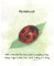 Notebook: Original Watercolor Ladybug Notepad for all ages.