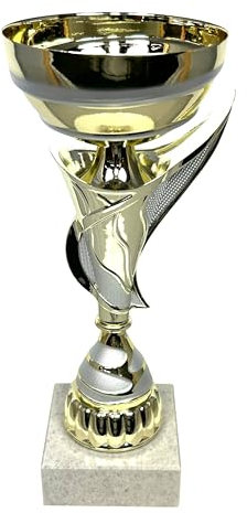 Express Medals 24,5 cm Gold und Silber Trophäe Cup - Event, Sportturniere, Wettbewerbe, Anerkennungsgeschenk oder Auszeichnung, 24,6 cm hoch x 9,9 cm breit AMC335-C
