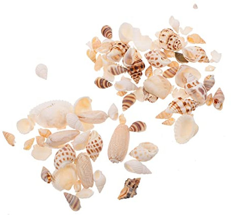 POPETPOP Muschel Ornament Aquarium Dekoration Natürliche Meer Schnecke Shell Set Aquarium 2 Boxen