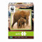 Ambassador 7230207 Elefanten, 100 Teile Puzzle für Erwachsene und Kinder ab 5 Jahren, WWF, Tierpuzzle