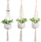 3X Set Premium Makramee Blumenampel 100cm Innen Außen Garten Blumentopf Halter Macrame Hängepflanzen Topf Balkondekoration Lounge Deco Blumen Ampel Balkon Wandbehang Boho Pflanzenhänger Pflanzenampel