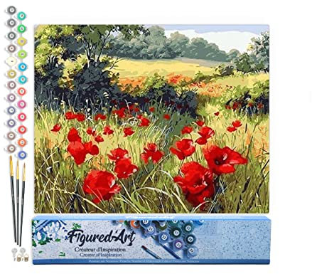 Figured'Art Peinture par Numéro Adulte Coquelicots champêtres - Activité Manuelle Kit de Loisir Créatif DIY Numéro d'Art Complet - 40x50cm sans châssis en bois