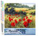Figured'Art Peinture par Numéro Adulte Coquelicots champêtres - Activité Manuelle Kit de Loisir Créatif DIY Numéro d'Art Complet - 40x50cm sans châssis en bois