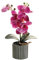 susiodeu Orchidea Artificiale Bonsai Phalaenopsis in Vaso Casa Giardino Colore Brillante Pianta Finta Realistica per Matrimonio sul Balcone Interno, Viola