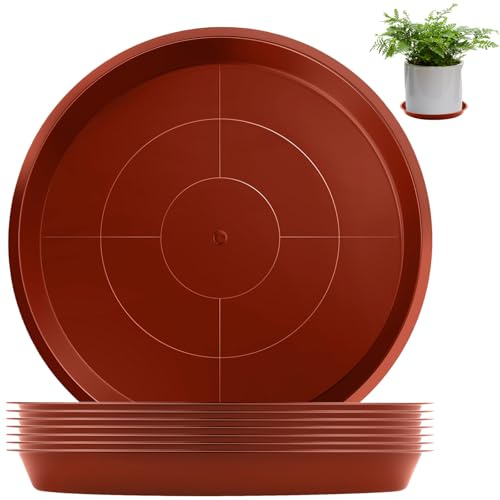 sturiz 8 Stück Blumentopf Untersetzer Rund 20 cm Topfuntersetzer Pflanzen Rotbraun Unterteller Blumentopf Kunststoff Pflanzenuntersetzer Pflanztopf Untersetzer für Innen- und Außenpflanzen