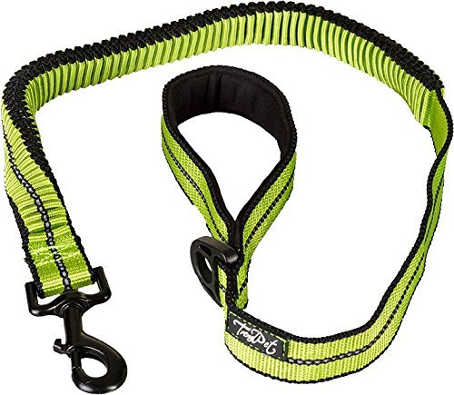 TrendPet Cascado Expanderleine Fahrradleine mit Ruckdämpfer (100-180cm)