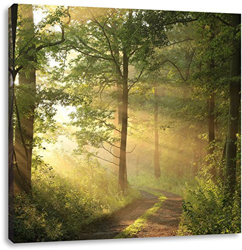 Pixxprint Waldweg im Winter, Größe: 40x40, Leinwandbild Quadratisch, Wandbild, Kunstdruck, fertig bespannt