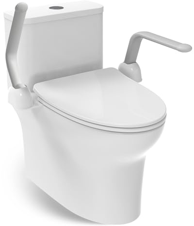 HEINSY Toiletten-Sicherheitsschiene, robuster faltbarer WC-Handlauf, Aluminiumlegierung, unterstützt bis zu 217 kg, perfekt für ältere Menschen, Senioren, Behinderungen, Schwangere