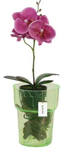botle Pot de fleurs en verre pour orchidées, diamètre : 15,5 cm, hauteur : 18 cm, vert, structure craquelée et toile d'araignée, grand, avec gestion de l'eau régulatrice de l'espace, vase moderne pour