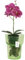 botle Vaso per fiori in vetro, per orchidee, diametro 15,5 cm, altezza 18 cm, struttura a ragnatele, grande, con gestione dell'acqua che regola la stanza, moderno vaso per fiori recisi