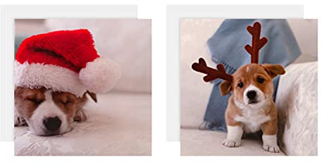 Hallmark's Gallery Collection Weihnachtskarten für wohltätige Zwecke, 10 Stück in 2 niedlichen Foto-Designs