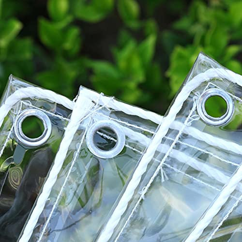RGRE Telone Trasparente in Plastica Impermeabile 6x10m, Telo Trasparente con Occhielli, Telone Impermeabile, per Piante, Serra, Animali Domestici, Tetto