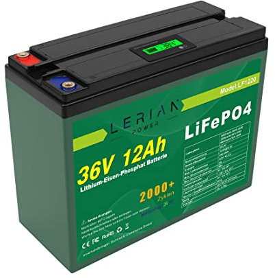 LiFePO4 Akku 36V 12Ah 20A 432Wh Lithium-Eisen-Phosphat Batterie für Modellbau Camping Boot