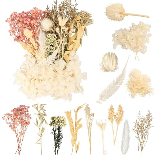 LAUMOE Trockenblumen, Getrocknete Blumen, Trockenblumen zum Basteln, Trockenblumen Weiß Trockenblumen Deko Mehrblütige Version für Kunst Basteln Dekoration (Weiß 2)