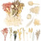 LAUMOE Trockenblumen, Getrocknete Blumen, Trockenblumen zum Basteln, Trockenblumen Weiß Trockenblumen Deko Mehrblütige Version für Kunst Basteln Dekoration (Weiß 2)