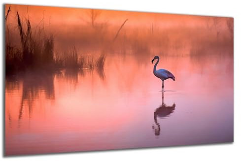 DARO Design - Wand-Bild auf 6mm HDF 40x30 cm Flamingo im Wasser - Wand-Deko Bilder Geschenk