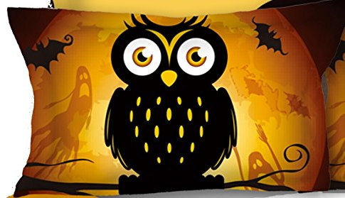DecoKing 2 Kissenbezüge 80x80 cm Kinder Eule Microfaser Reißverschluss Owls Ghost Story orange schwarz