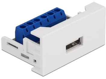 Delock Easy 45 Modul USB 2.0 Typ-A Buchse zu Terminalblock 22,5 x 45 mm