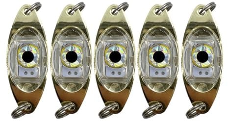 Angelköder Licht, 5 Stück LED Tiefer Tropfen Angellicht, Augenform, Leuchten Sobald Sie Wasser Gehen, Unterwasser Angeln Köder Lampe für Boot, Meer, Eisfischen