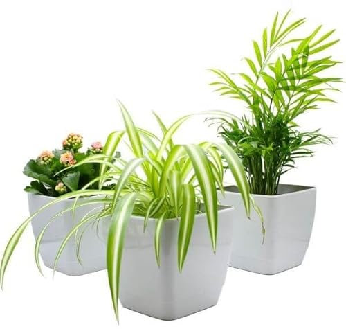 Gardening Naturally Plant Pot Pack Indoor Square Cool Grey Gloss (Pack of 3, 20 CM Diameter)