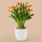 60 Stück orange Calla-Lilien-Blumensamen