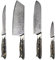 Tsume Exotic Set Carbon Gold, Messerset mit 4 Premium Küchenmessern, Echte Damast Küchenmesser mit Karbonfasern und Blattgold, 67 Schichten VG10 Edelstahlkern mit Kunstharz Handgriffen