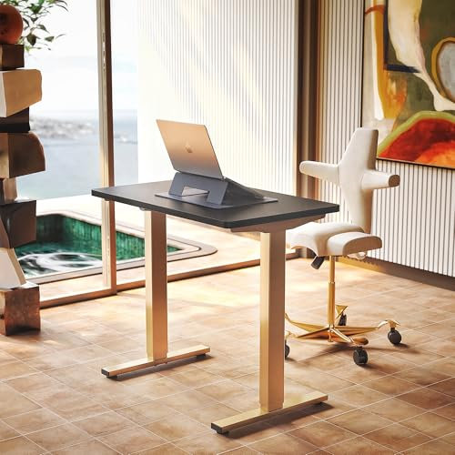 HUANUO 80 cm Electric Standing Desk Adjustable Height, 4 Memory Height Settings, Sit Stand Up Desk for Home Office & Computer Workstation,Black and Gold Frame