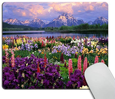 Wasach Beautiful Flowers Mountain Sky Water Mouse Pads Customized, Eco Friendly Cloth with Neoprene Rubber Mouse Pad Desktop Mousepad Laptop Mousepads Comfortable Comput
