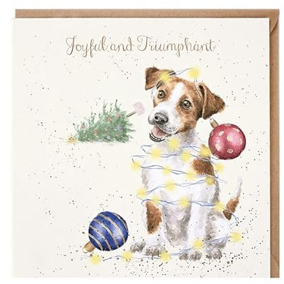 Wrendale - X064 - Doppelkarte mit Umschlag, Weihnachten, Hund, Joyful and Triumphant, 15cm x 15cm, quadratisch