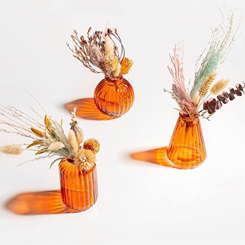 Sass & Belle – Lot de 3 vases en verre, couleur ambrée