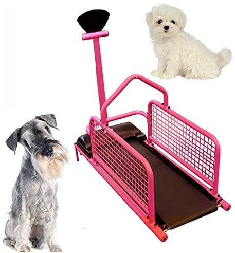 Laufband für kleine Hunde, Lauftrainingsgerät für Hunde, Gehgerät für kleine Hunde zum Trainieren und Abnehmen