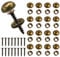 16 Viti Decorative in Ottone Con Tappi, Autofilettanti, Copertura Decorativa per Porte e Finestre, Specchio, Legno Fatto a Mano per Fissaggio Mobili (15 mm)