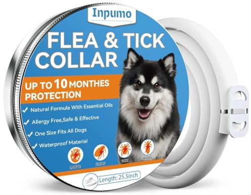 Inpumo Collier Anti Puces pour Chien, Collier Anti Puces Chien, Amélioré avec des Huiles Essentielles Naturelles 10 Mois de Protection étanche et Réglable pour Petit Moyen Grand Chien (1 Pack)