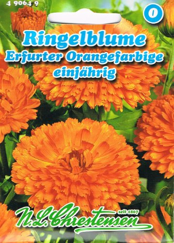 Ringelblume Erfurter Orangefarbige (Portion)