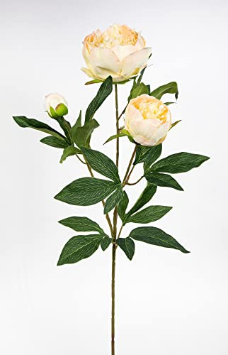 Pfingstrose Nature 72cm Peach CG Kunstblumen Seidenblumen künstliche Blumen Päonie