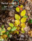 Herbst unter der Lupe: Mit Basteleien, Experimenten und Rezepten den Herbst entdecken. (Unter der Lupe - Mit Basteleien, Experimenten und Rezepten die Welt entdecken.)