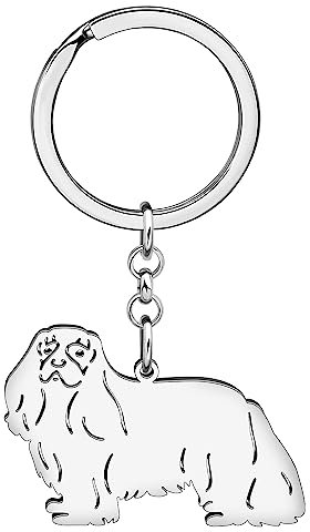 DOWAY Niedlicher Chihuahua Husky Corgi Schlüsselanhänger Ring Cavalier King Charles Labrador Hund Zeug Geschenke für Frauen Autoschlüssel Zubehör, Cavalier King Charles Silber, W2L2