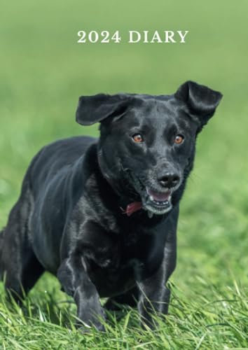 Black Labrador Retriever Diary 2024 Slim: A6 diary, week to view, diary planner 2024-25, perfect gift for women, men, and black labrador lovers, (4.25 x 6)