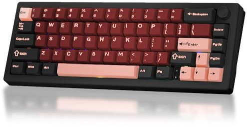 BOYI GMK67-65% Mechanical Keyboard,Gasket-Mounted HotSwap BT5.0/Type-C/2.4G Wireless South-facing RGB,Cherry Profile PBT Keycaps Linear Lubed Switches Custom Gaming Keyboard (Black)