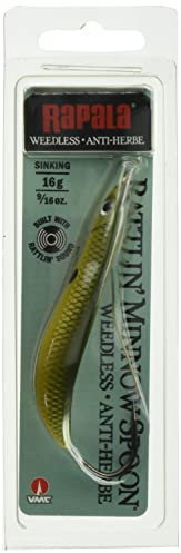 Rapala CUCHARILLA ONDULANTE Rattlin Minnow Spoon - 16, per Unit, Redfin Shiner, 05, 8