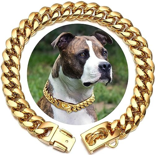 14mm Wide Gold Dog Chain Collar Walking Metal Chain Collar with Secure Buckle, Cuban Link Strong Heavy Duty Chew Proof for Small Medium Big Dogs (35cm, Gold)