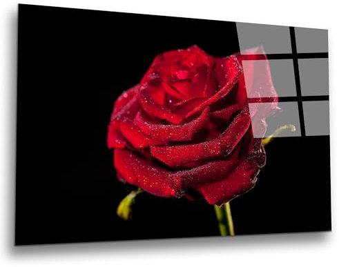 INDIGOS UG Luxus Glasbild - rote Rose - 80x40 cm - ESG Echtglas bedruckt - Glasdruck - Wohnzimmer, Küche, Schlafzimmer, Badezimmer - Geschenk - Deko, Wandbild