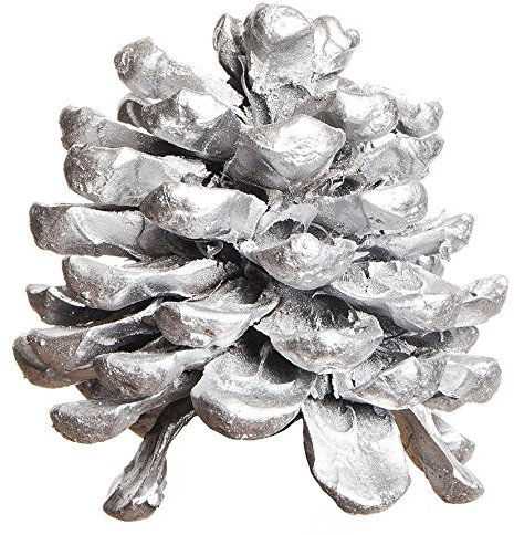 Natur-deko PINIEN- ZAPFEN ca 100-140mm. 2 Stück. Baumzapfen in Silber -92