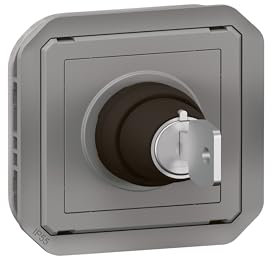 interrupteur à clé - ronis - 2 positions - gris - composable - legrand plexo 069534l