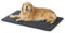 BEDSURE waschbar Hundematte Große Hunde - 121x76 cm Hundekissen waschbar für Grosse Hunde, Sherpa-Plüsch Hundebett XXL mit hochdichter Schaumstofffüllung, dunkelgrau