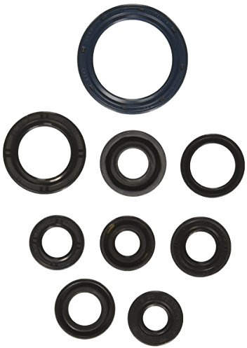 Athena P400250400024 Wellendichtringsatz Motor
