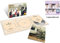 BTS, The Best (Ltd. CD+DVD) B